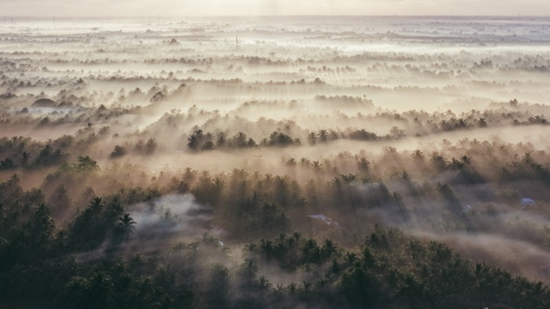 La brume recouvre les rizières et les cocotiers du hameau de Cay Duong, commune de Thanh My, district de Chau Thanh, province de Tra Vinh. Photo : VnExpress.