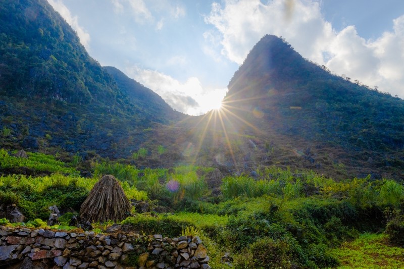 Au début de l'hiver, Ha Giang se pare de ses plus beaux atours. 