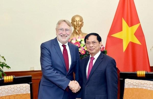 Le ministre des Affaires étrangères Bui Thanh Son (droite) et Bernd Lange, président de la Commission du commerce international du Parlement européen. Photo : VNA 