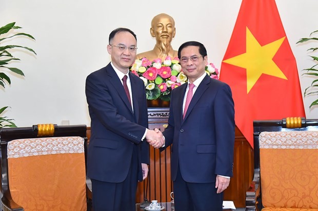 Le ministre des Affaires étrangères, Bùi Thanh Son (à droite) et l’assistant du ministre chinois des Affaires étrangères, Nong Rong. Photo : VNA.