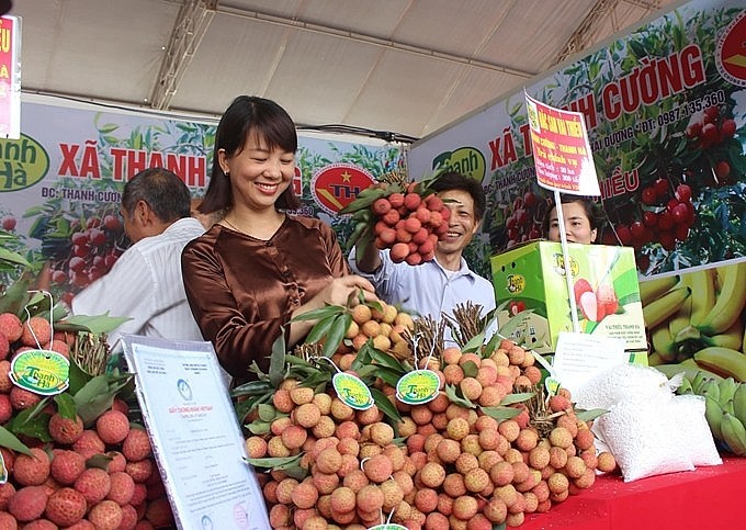 La province de Hai Duong, en collaboration avec les ministères vietnamiens de l’Industrie et du Commerce, et de l’Agriculture et du Développement rural, a organisé une conférence de promotion commerciale du litchi en 2022. Photo : VNA.
