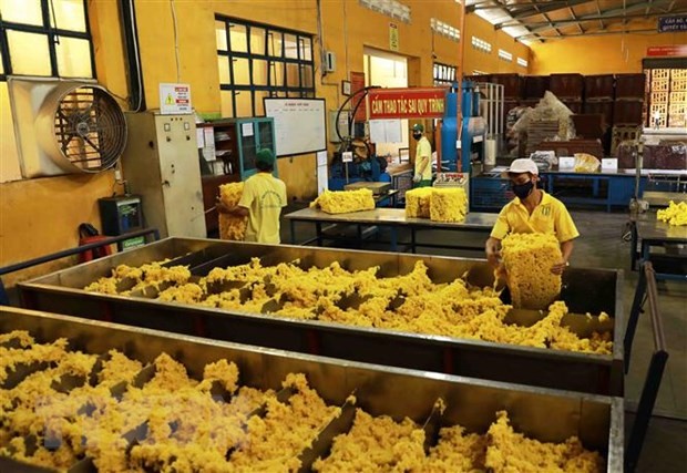 Transformation du caoutchouc pour l'exportation dans l'usine de Phu Riêng. Photo : VNA.