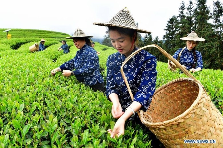  L'agriculture chinoise bénéficie d'aides de la BM. Photo : Xinhua