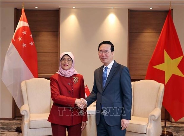 Le Président vietnamien, Vo Van Thuong, et son homologue singapourienne, Halimah Yacob. Photo : VNA.