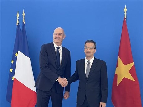 Le vice-ministre vietnamien des Finances, Vo Thanh Hung (à droite) et le ministre délégué chargé de l'Industrie, Rolland Lescure. Photo : VNA.