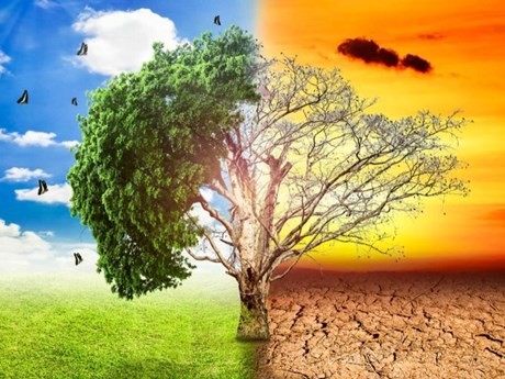 Réduction de l'impact du changement climatique sur la croissance verte et le développement durable
