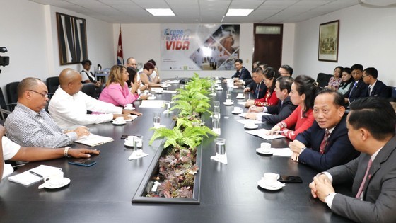 La délégation de Hô Chi Minh-Ville travaille avec le ministère de la Santé de Cuba. Photo : SGGP.