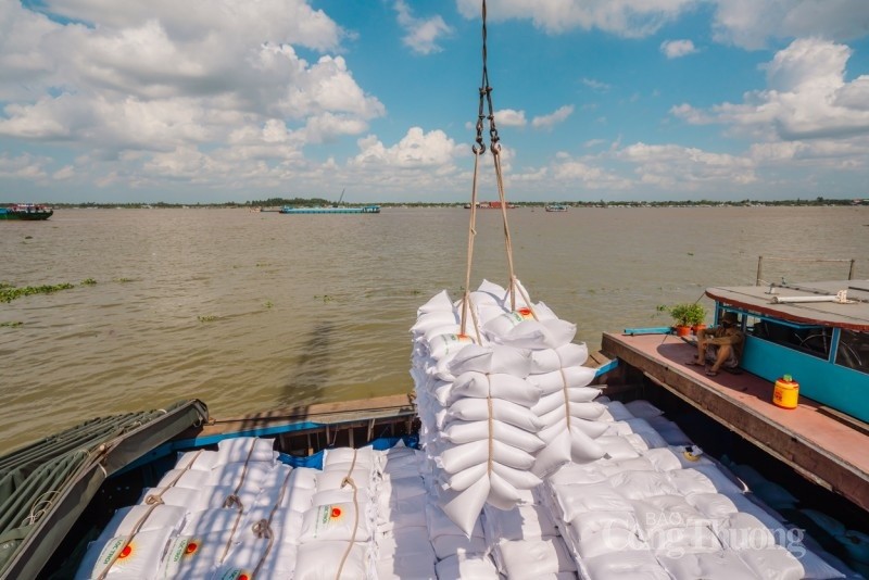 Les exportations de riz sont un point positif au début de l’année. Photo : congthuong.vn