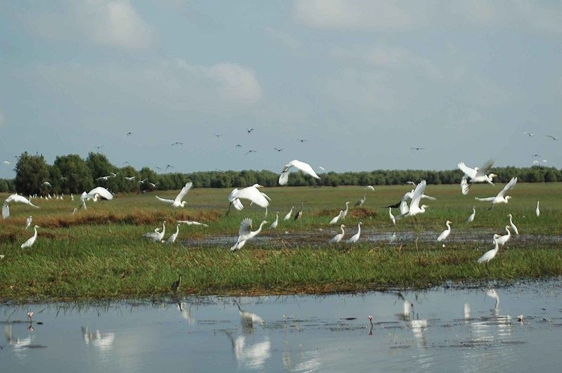  Le Vietnam est connu comme un des pays les plus riches en biodiversité avec de nombreux types d’écosystèmes et d’espèces de faune et de flore. Photo : VGP. 