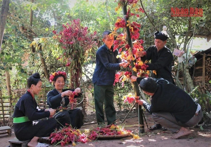 La fleur d’amarante crête de coq est une fleur porte-bonheur. Photo : NDEL.