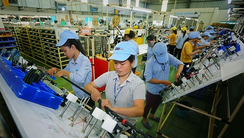 Les Pays-Bas sont le plus grand investisseur européen au Vietnam. Photo : congthuong.vn