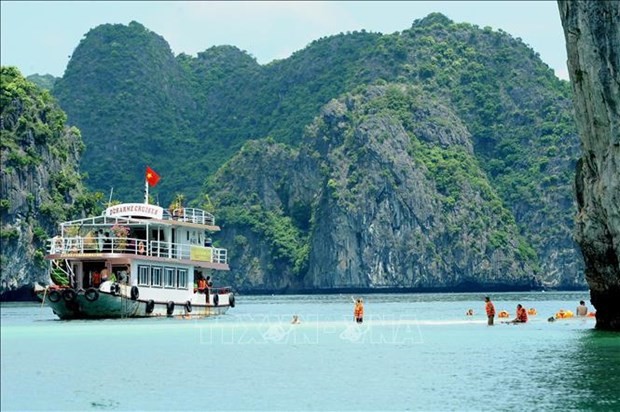 Pour faire de la baie d'Ha Long une destination verdoyante, propre et magnifique. Photo : VNA.