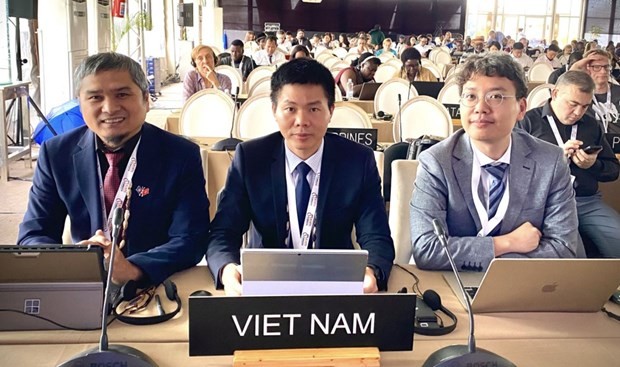 Le Vietnam a été élu vice-président du Comité intergouvernemental de l'UNESCO pour la Sauvegarde du patrimoine culturel immatériel. Photo : VNA.