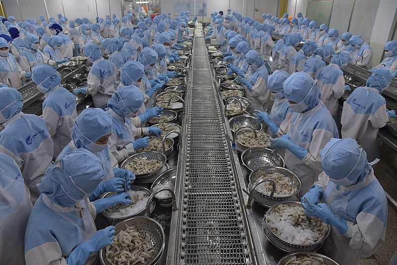 Le Vietnam est le plus grand fournisseur de crevettes pour la République de Corée. Photo : congthuong.com.vn