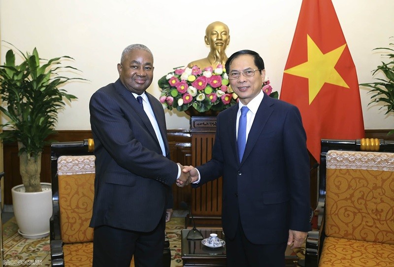 Le ministre des Affaires étrangères, Bùi Thanh Son, et l’ambassadeur du Mozambique, Leonardo Pene. Photo : baoquocte.