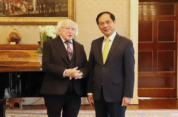 Le ministre des Affaires étrangères, Bùi Thanh Son, et le Président irlandais, Michael D. Higgins (au gauche). Photo : VNA.