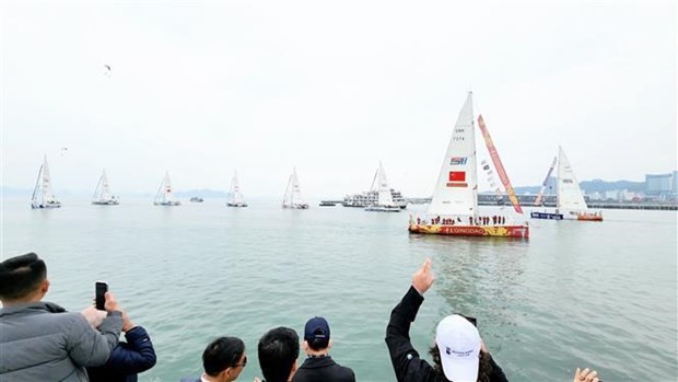 Clipper Race poursuit son 8e challenge depuis Ha Long. Photo : VNA.