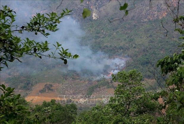 Risque élevé d'incendie pour de nombreuses forêts à des niveaux dangereux et extrêmement dangereux. Photo : VNA.