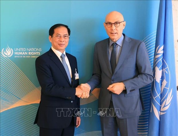 Le ministre des Affaires étrangères, Bùi Thanh Son (à gauche), et le Haut-Commissaire des Nations Unies aux droits de l'homme, Volker Turk. Photo : VNA.