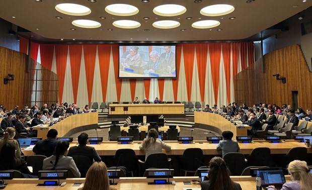 Panorama d'une réunion du Conseil économique et social des Nations Unies (ECOSOC). Photo : VNA.