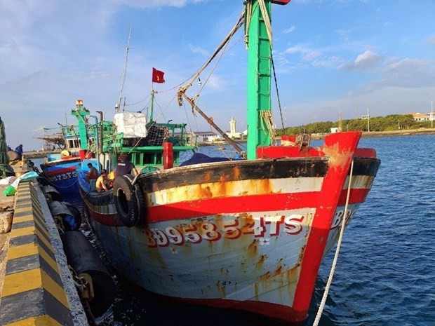 La lutte contre la pêche INN est une opportunité de transformer l'ensemble du secteur de la pêche au Vietnam. Photo : VNA