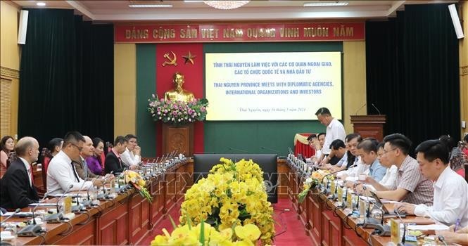 Séance de travail entre des autorités de Thai Nguyen et la délégation de l’Union européen (UE), des Pays-Bas et de l’ambassade du Vietnam à Singapour. Photo : VNA.