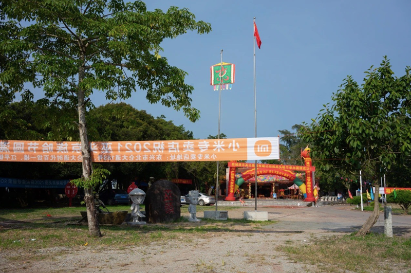 Un arbre de diospyros planté devant une maison communale du village de Vu Dau. Photo de : Baidu.