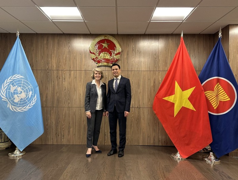 L'ambassadeur Dang Hoang Giang, chef de la Mission permanente du Vietnam auprès des Nations Unies (ONU) (droite) et Julie Bishop, envoyée spéciale du secrétaire général de l'ONU pour le Myanmar. Photo : VNA.