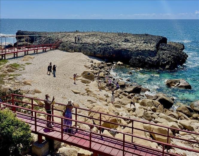 Des touristes explorent l'ancien récif corallien de Hang Rai situé dans la réserve mondiale de la biosphère de Nui Chua, district de Ninh Hai, province de Ninh Thuan. Photo : VNA.