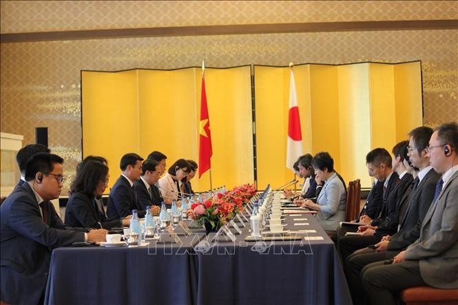 Lors de la réunion du Comité de coopération Vietnam-Japon. Photo : VNA.