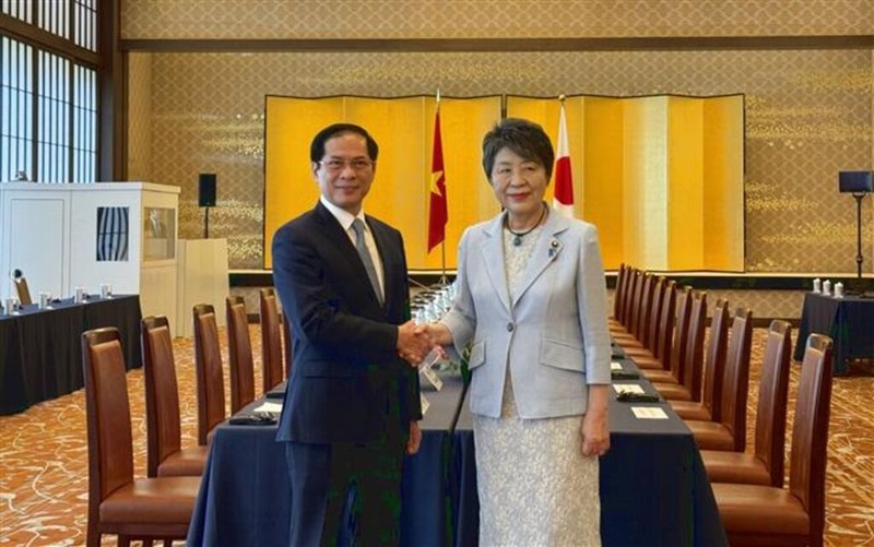 Le ministre vietnamien des Affaires étrangères Bùi Thanh Son et son homologue japonais Kamikawa Yoko, le 7 août à Tokyo. Photo : VNA.