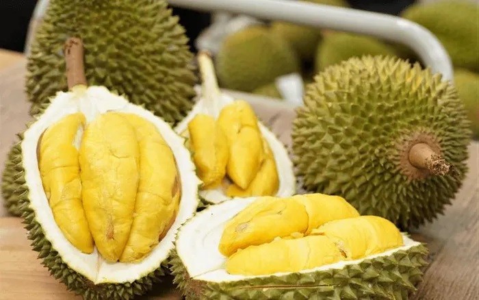 Au cours du premier semestre 2024, la Chine a importé près de 273,54 milliers de tonnes de durians du Vietnam. Photo : nongnghiep.