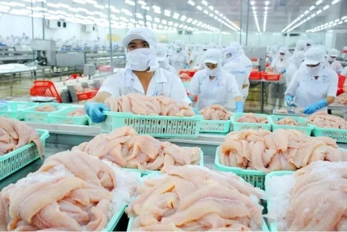 Les exportations de pangasius du Vietnam vers les États-Unis ont connu une forte croissance. Photo : congthuong.