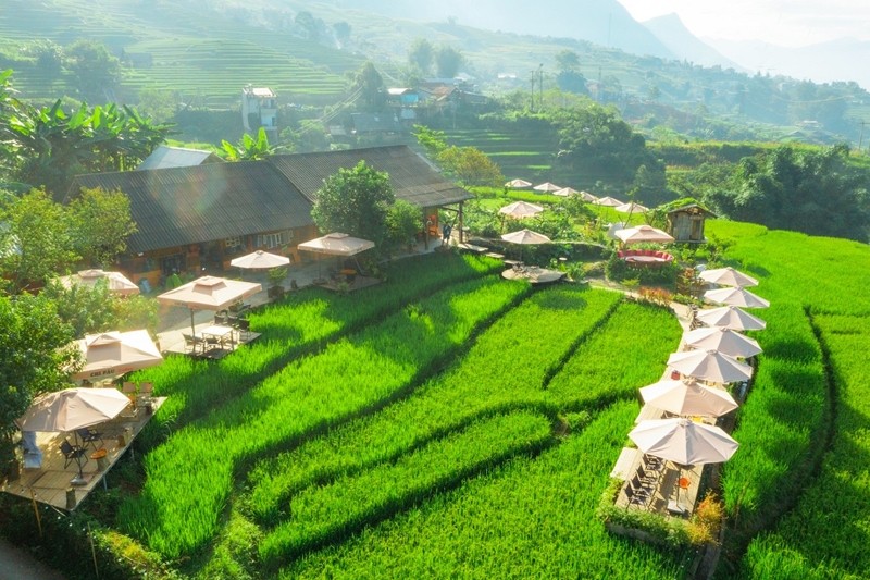 Un café unique niché au milieu des rizières en terrasses attire l'attention des utilisateurs des médias sociaux. Photo : Vietnamnet. 