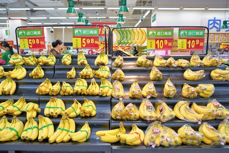  La Chine est actuellement l'un des plus grands consommateurs de bananes au monde. Photo d'illustration : Petrotimes. 