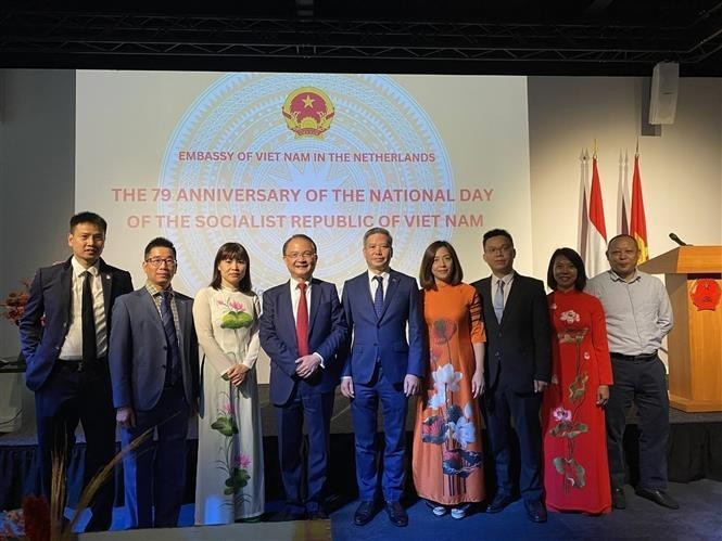 L'ambassadeur Ngo Huong Nam et des cadres de l'ambassade du Vietnam aux Pays-Bas lors de la cérémonie. Photo : VNA.