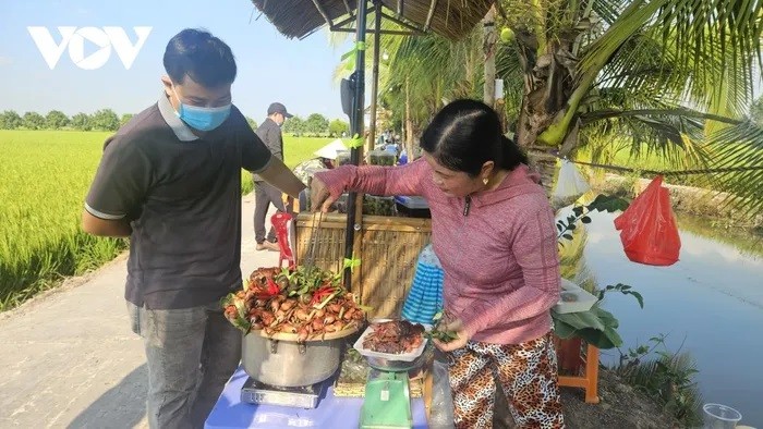 Dong Thap se concentre sur le tourisme agricole, en aidant les agriculteurs à participer à la construction de nouvelles zones rurales et à l'augmentation des revenus. 