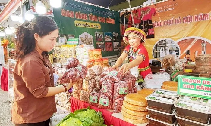 Les consommateurs choisissent des produits lors de la Semaine des produits vietnamiens de Hanoï 2024, qui s'est tenue dans le district de Dan Phuong. Photo : Hanoimoi.vn