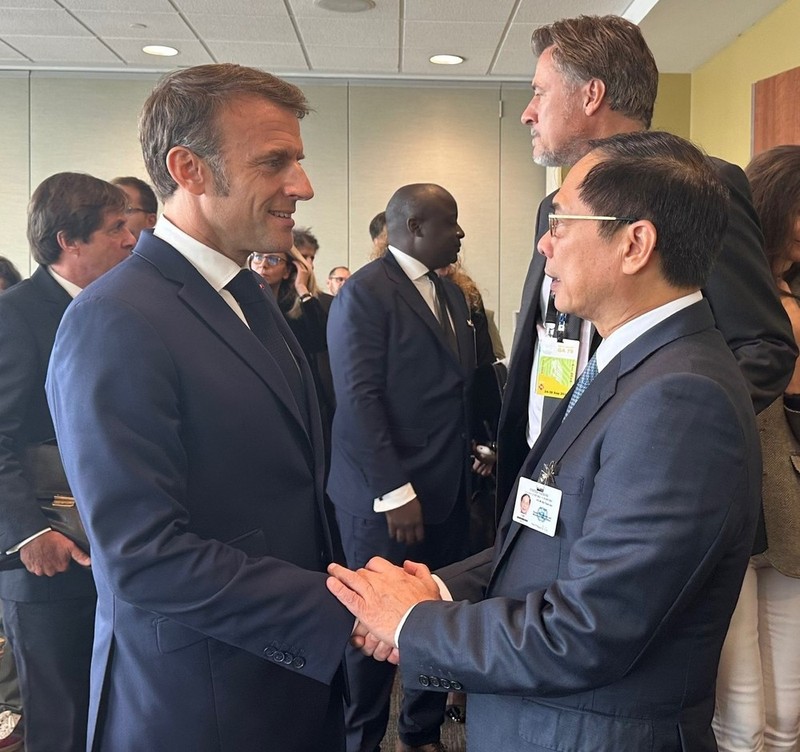 Le vice-Premier ministre et ministre des Affaires étrangères (AE) Bui Thanh Son (droite) et le président français Emmanuel Macron. Photo: VNA