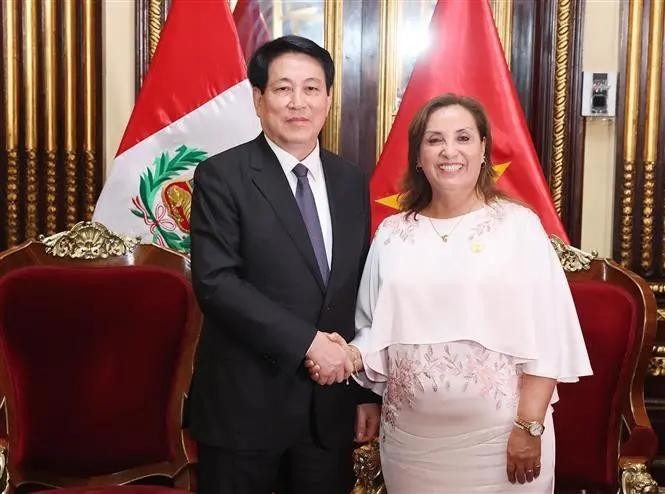 Le président vietnamien Luong Cuong et son homologue péruvienne Dina Ercilia Boluarte Zegarra. Photo : VNA.