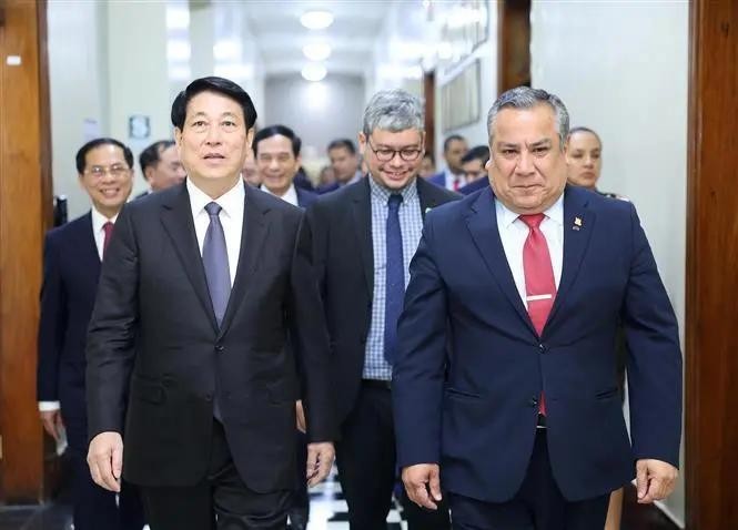 Le président vietnamien Luong Cuong (gauche) et le président du Conseil des ministres du Pérou, Gustavo Adriazén. Photo : VNA.