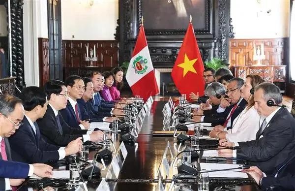 Le président Luong Cuong s'entretient avec son homologue péruvienne, Dina Ercilia Boluarte Zegarra. Photo : VNA.