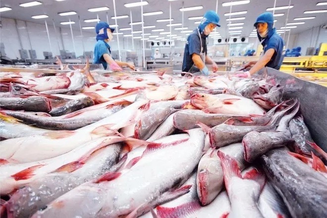 Le pangasius est également un produit d’exportation clé du Vietnam vers le Moyen-Orient. Photo : congthuong.