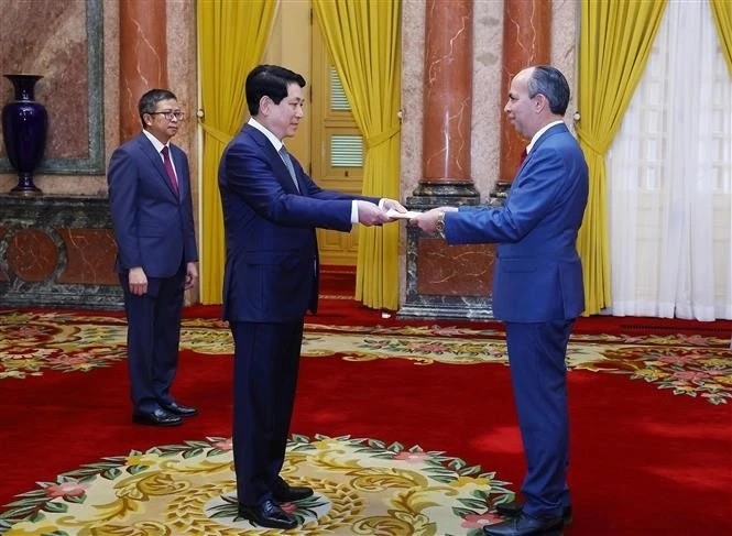 Le président de la République Luong Cuong (gauche) et l'ambassadeur de Bolivie, Hugo José Siles Nunez de Prado. Photo : VNA