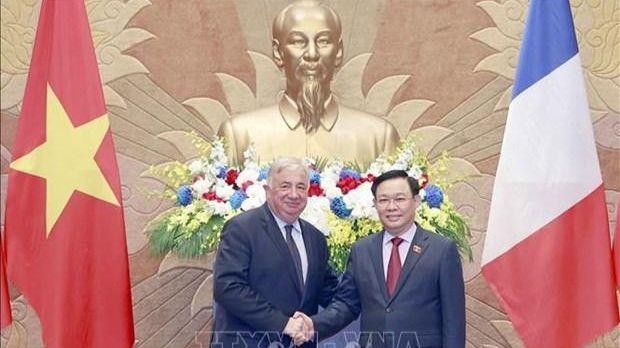 Le Président du Sénat français, Gérard Larcher (à gauche), et le Président de l'Assemblée nationale vietnamienne, Vuong Dinh Huê. Photo : VNA. 
