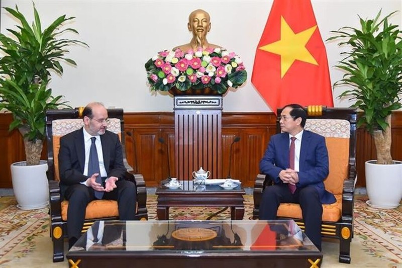 Le ministre vietnamien des Affaires étrangères, Bùi Thanh Son (à droite), et l'ambassadeur de Turquie au Vietnam, Haldun Tekneci, le 17 février à Hanoï. Photo : VNA.