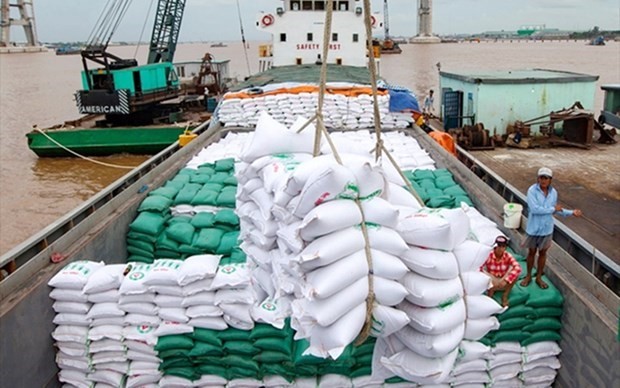 Le prix du riz vietnamien exporté est le plus élevé au monde. Photo : VNA