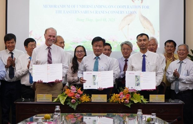 Signature de l'aide-mémoire sur la coopération dans la conservation des grues à tête rouge, à Dông Thap, le 8 avril. Photo : VNA.