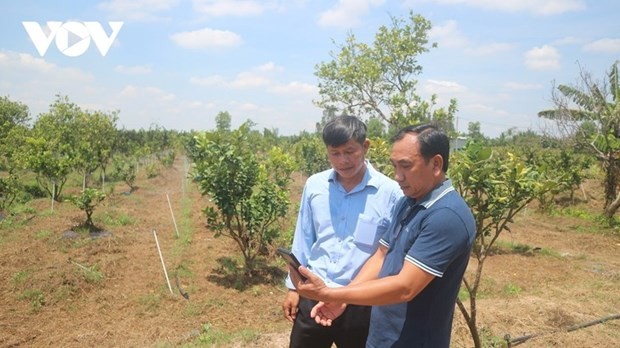  Ông Minh Thuong (à droite) présente le logiciel de contrôle de l'irrigation économe en eau via les téléphones portables. Photo : VOV.