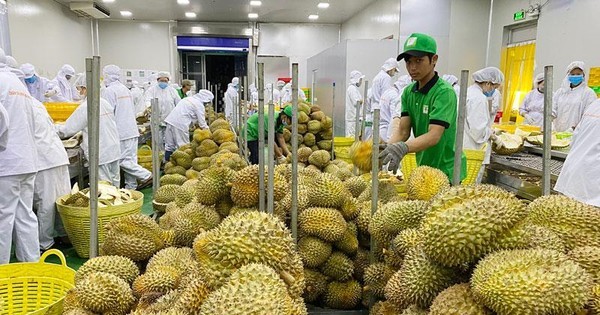 La Chine a augmenté ses importations de riz, de légumes, de fruits et de noix de cajou en provenance du Vietnam. Photo: baodautu